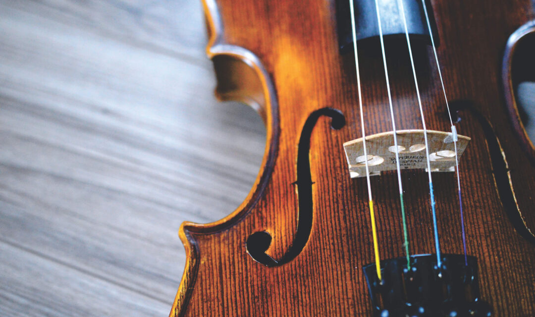 violin-profile