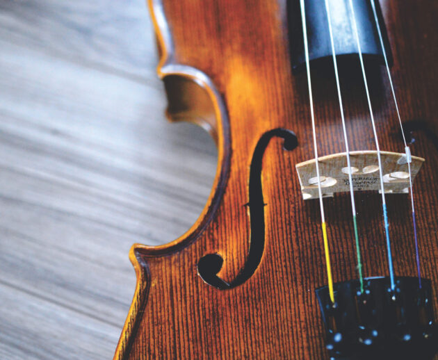 violin-profile