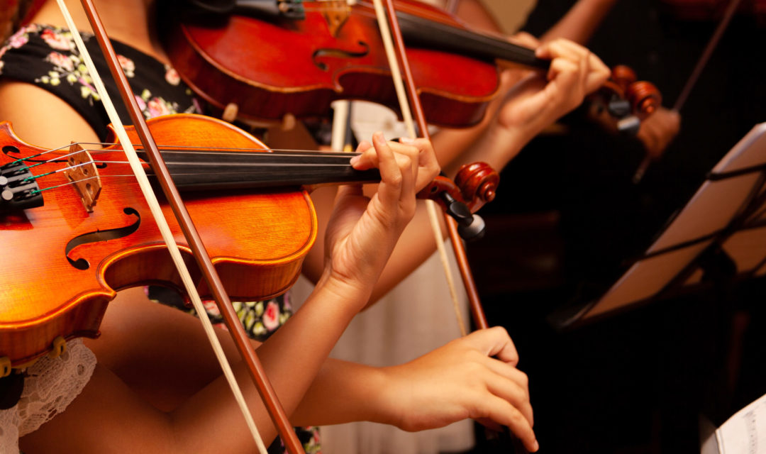 Row, group of anonymous violin players, children, people playing, bows in hands, stands in front, closeup. Classical music concert simple performance kids orchestra string section / quartet performing