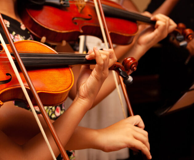 Row, group of anonymous violin players, children, people playing, bows in hands, stands in front, closeup. Classical music concert simple performance kids orchestra string section / quartet performing