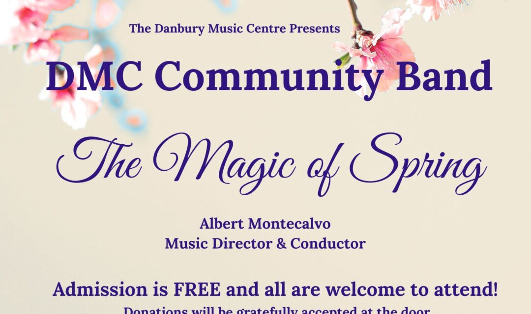 DMCBANDflyer DMCBANDflyer