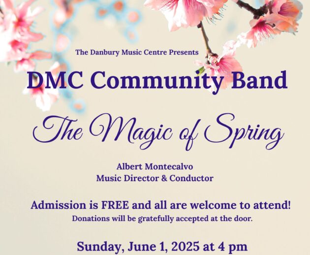 DMCBANDflyer